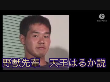 野獣先輩　セーラーウラヌス説