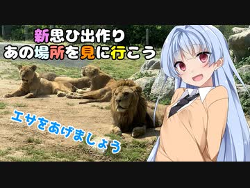 新思ひ出作り第6話「秋吉台サファリランド」