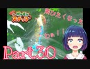 まだまだ新発見があって目が離せない！【Newポケモンスナップ】Part３０
