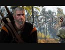 OLが歩むTHE WITCHER3 part37