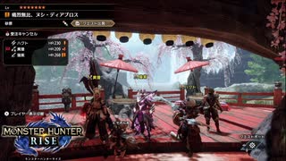 【ヌシディアブロ】猫紫、黄狸、白兎のモンハンライズ#３