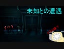 「YUME NIKKI～DREAM DIARY～」を実況してみたの　２
