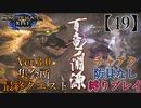 【MHRise】チャアク防具なし縛り実況『百竜ノ淵源』【49】