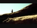 Superfly 『Wildflower』MV