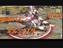 【FF14】【FFXIV】【ビックル】　復帰FF14　リハビリ ホルミンスター　7