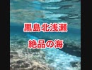 無人島・黒島の浅瀬絶景！