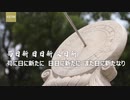 7.「平語近人-習主席の好きな典故「苟（まこと）に日に新たに、日々に新たに、また日に新たなり」【字幕付き】