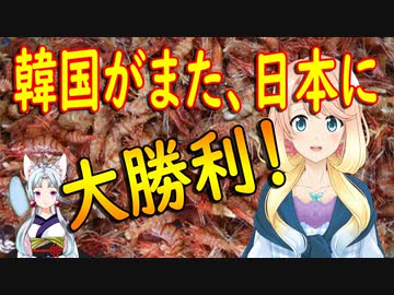 【韓国の反応】日本に的確にダメージを与える大勝利ですね！素晴らしいアイデアだ！【世界の〇〇にゅーす】