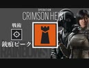【R6S】銃痕ピークの理不尽さが分かる動画【PS4 レインボーシックスシージ】