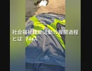 社会福祉援助活動の展開過程 / 44A