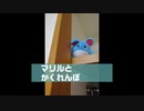 マリルとかくれんぼ