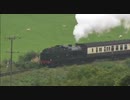 後ろ向き / On The Rails