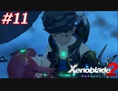 覇王の心眼ってなんですか？教えて！えらい人！#11【ゼノブレイド2】【2週目】