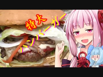 【茜ちゃん七輪飲み】特大ハンバーガー