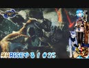 【実況】MHRISEやる！【25】