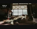 『舌尖上の中国 第一期』第二話「主食の物語」