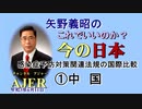 「感染症予防対策関連法規の国際比較①中国」矢野義昭 AJER2021.6.11(3)
