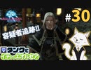 #30【FF14】タンクでイチからエオルゼア【斧術士/戦士】パッチ2.4氷結の幻想 4