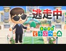 【あつ森】逃走中を森でやってみた ジューンブライド編 inハンターズネッ島【実況】あつまれどうぶつの森