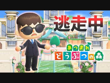 【あつ森】逃走中を森でやってみた ジューンブライド編 inハンターズネッ島【実況】あつまれどうぶつの森