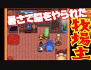 【StardewValley#11】もうなんか色々アホやってる回