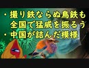 日本の動向 鳥鉄と中国の動向6/11/2021