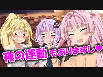 茜「兄様は毎晩、葵と激しく夜の運動されてますし❤」マキ/ゆかり「！？」❤茜ちゃんは兄様(あなた)のことを、友達につい惚気てしまうの❤琴葉姉妹と同棲しようよ❤兄様と可愛い義妹たちとの物語❤