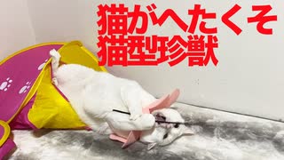 猫がへたくそ、猫型珍獣