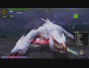 【MHF-Z】極み駆けるナルガクルガ 太刀 9分53秒63 (9ラスタ) 【実装時の火力】