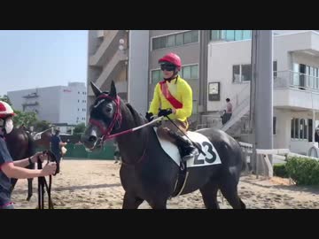 【リアルダビスタ】2021年6月11日 クールフォルテ 能力試験の様子