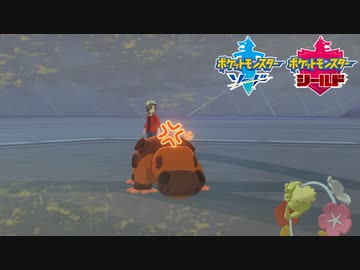 【ポケモン剣盾】究極トレーナーへの道Act504【カバルドン】
