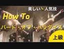 ポールダンスの人気開脚技バード・オブ・パラダイスコツを教えるよ〜