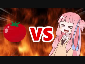 茜ちゃんVSトマト