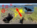 2021/06/11放送【70日目 北海道 天塩郡 あずにゃんぽ（猫散歩）】北海道全市町村制覇するまで帰れまてん！　猫と車中泊の旅　日本縦断【旅猫あずき～保護猫から旅猫へ～】