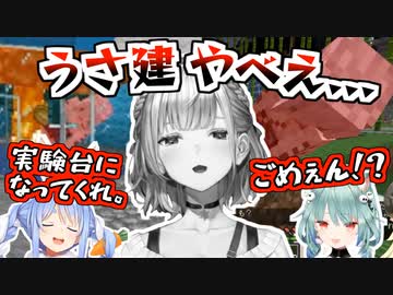 ぺこらに焼かれ、るしあに射られる散々な日のノエル