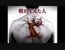 霊視で木が生えてる人がヤバイ件【ゆっくり朗読】