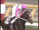 【トウカイテイオー】1991年日本ダービーに「ユメヲカケル！」を合わせたらぴったり過ぎた