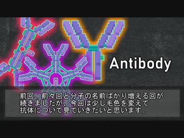 【ゆっくり解説】抗体