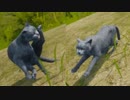猫のゲームで遊んだらマジでかわいすぎたｗｗｗ「Cat Simulator: Meow」