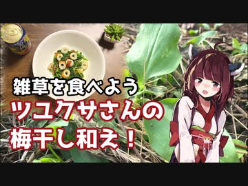 【思い切って野草を食べてみよう】#20 ツユクサさんで「梅干し和え」！