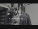猫 / DISH// full covered by はたお