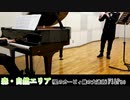 【演奏】森・自然エリア(星のカービィ鏡の大迷宮) フルートとピアノで演奏してみた