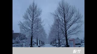 粉雪【歌ってみた】