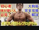 【大胸筋が発達しない人に見て欲しい】初心者・体が硬い人向けの大胸筋完全攻略プログラム【筋トレ解説】