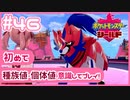 【ポケモン剣盾/DLC1鎧の孤島】ポケモン好きが、初めて種族値・個体値を意識し冒険！【実況】#46