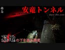 【心霊】トンネルの上に墓地がある!?割とよくある噂の安竜トンネル【ゲッティ】