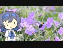 【CeVIO写真】写真を一枚＿23枚目【ゲラニウムとクマバチ】