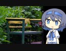 【CeVIO写真】写真を一枚＿27枚目【紫陽花とベンチ】