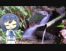 【CeVIO写真】写真を一枚＿28枚目【白い小川】