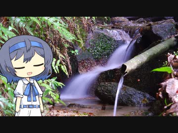 【CeVIO写真】写真を一枚＿28枚目【白い小川】